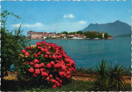 Postcard Italy 1980s Postcard