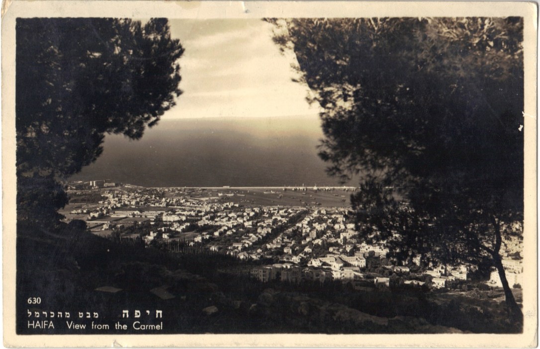 View from the Carmel, Vintage Postcard - Israel 1950